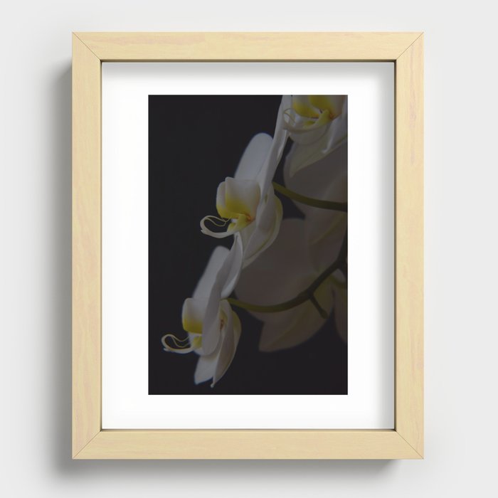 Bloom in the Dark Recessed Framed Print