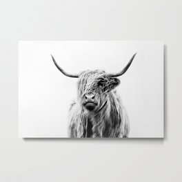 portrait of a highland cow (horizontal) Metal Print