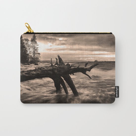 Storm #2 Carry-All Pouch