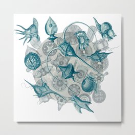 Ernst Haeckel Cerulean Peridinea Algae Over Cerulean Diatoms Metal Print