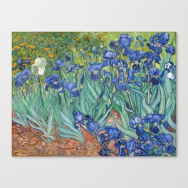 Irises - Vincent van Gogh Canvas Print