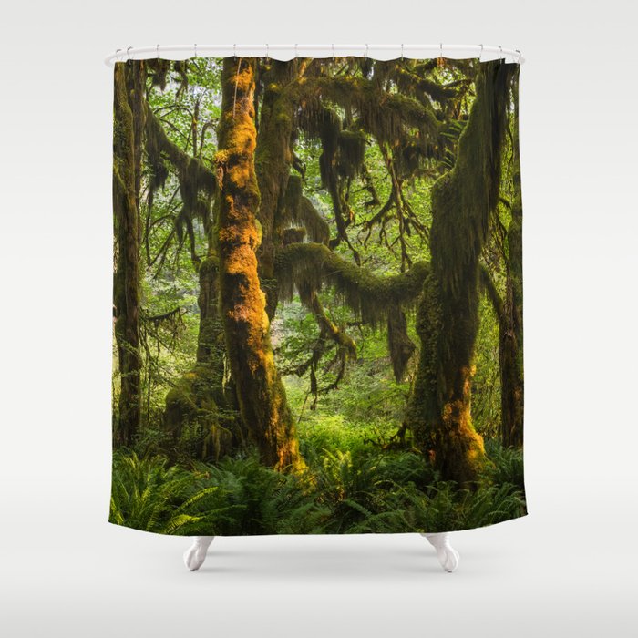 Mossy Dream Forest - Olympic Peninsula Shower Curtain