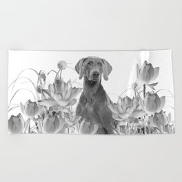 Weimaraner Dog Lotos Flowers - Black & White #society6 #lotos Beach Towel