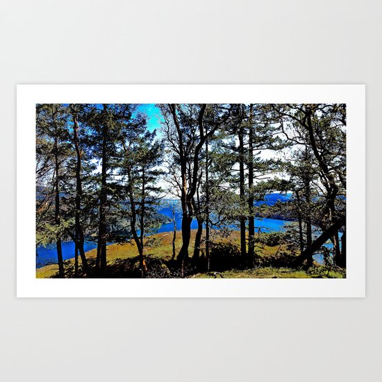 Trees, Daylight Stoney Hill Art Print