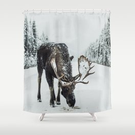 Moose in the wild Shower Curtain
