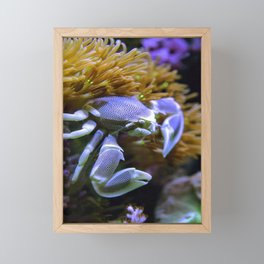 fish Framed Mini Art Print