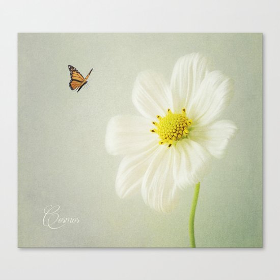 Cosmos Canvas Print