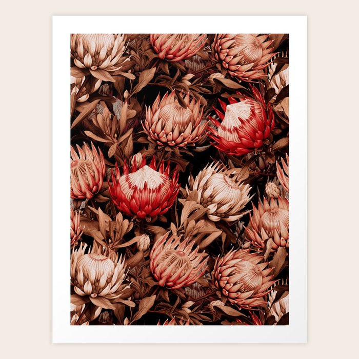 絵画 額縁付 プロテア protea