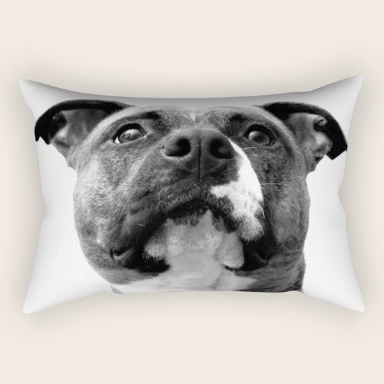 Dog Rectangular Pillow