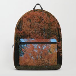 Foliage, Clayton, WA 2 Backpack