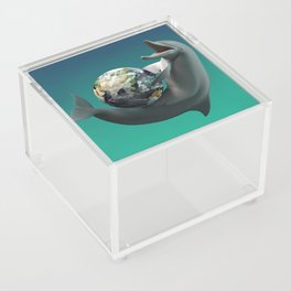 The Dolphin with the planet Earth Acrylic Box