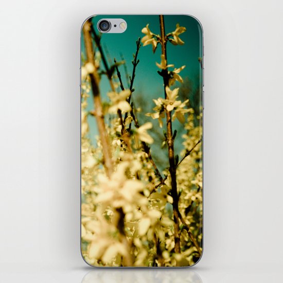 Wild Abandon iPhone & iPod Skin