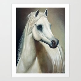 Arabian White Horse Portrait Art Print