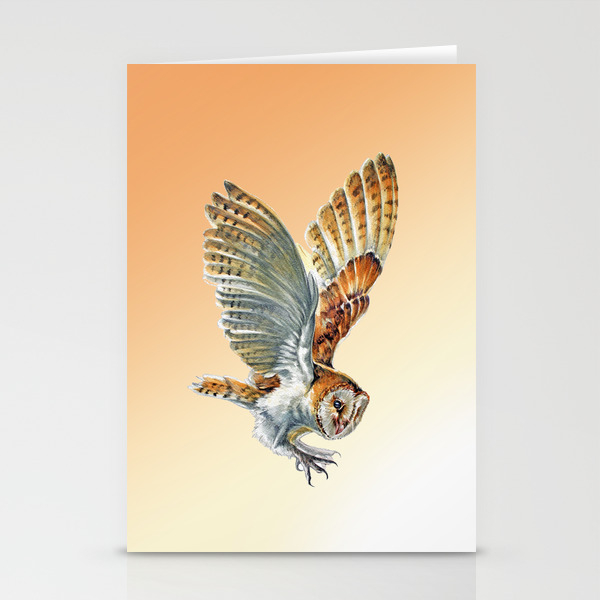 Barn Owl Landing Stationery Cards By Jodyedwardsart Society6