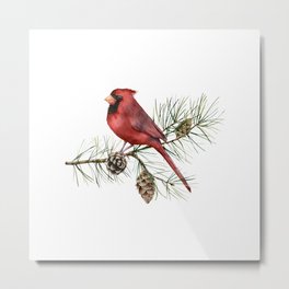 Christmas Red Cardinal Bird and Pine Watercolor Metal Print | Pine, Bird, Pretty, Festive, Nature, Christmas, Trees, White, Red, Elegant 