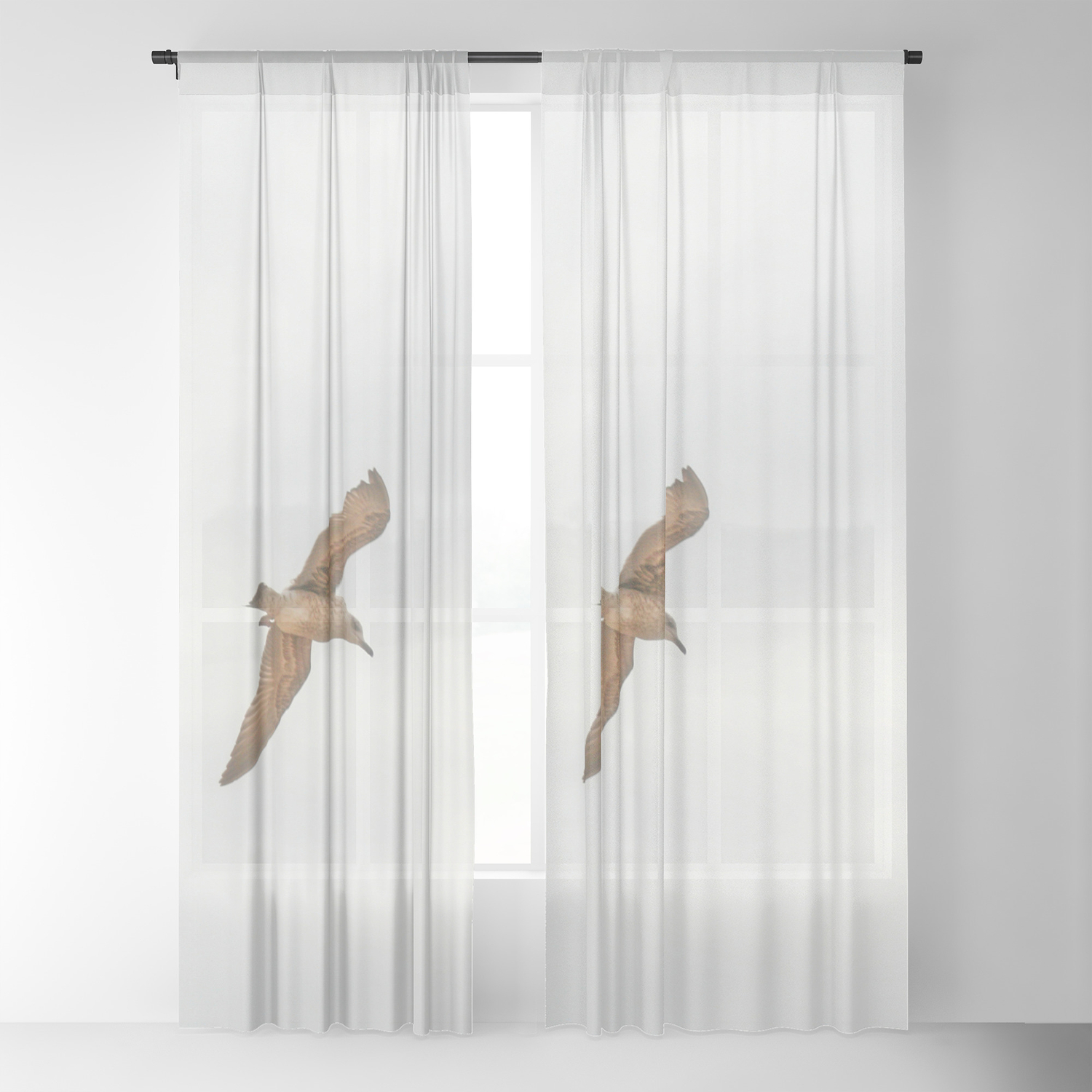 Seagull Bird Flying Sheer Curtain By Annaki Society6