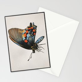 Pipevine Swallowtail - Battus philenor Stationery Cards