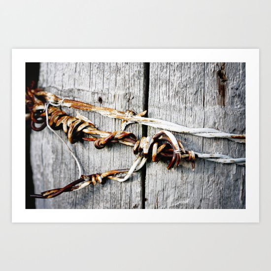 barbed wire Art Print