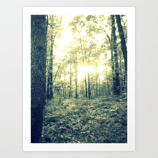Where Magic Grows Art Print