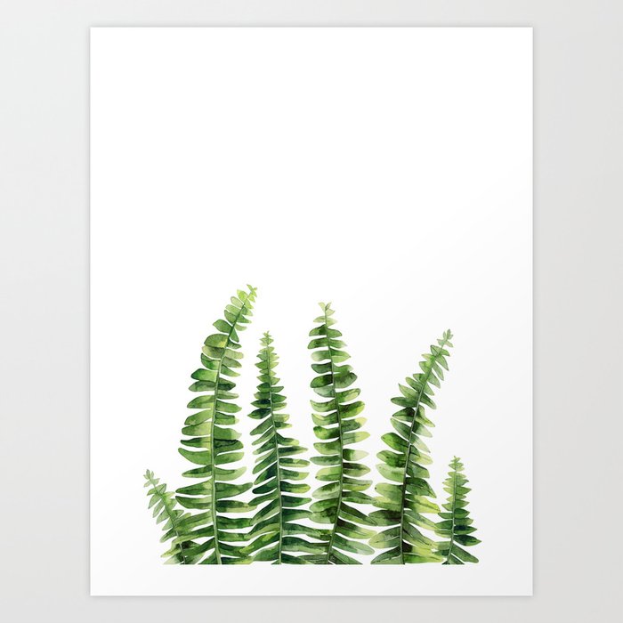 Discover the motif FERN WATERCOLOUR by Art by ASolo  as a print at TOPPOSTER
