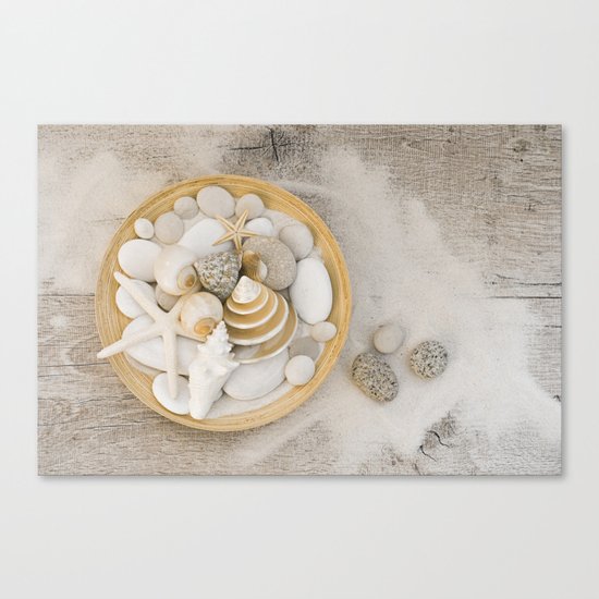 Sea Shell Collection Beach Summer Still Life Canvas Print