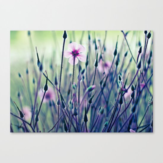 Brave One Canvas Print