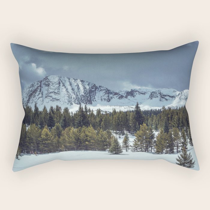 Rectangular Pillow