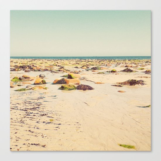 Rocky Beach Canvas Print