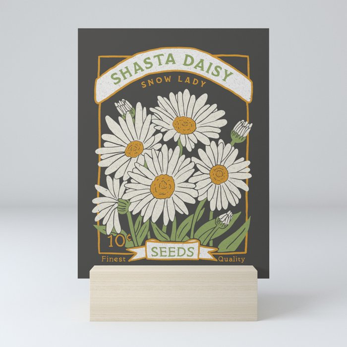 Shasta Daisy Seed Packet (Charcoal Background)  Mini Art Print