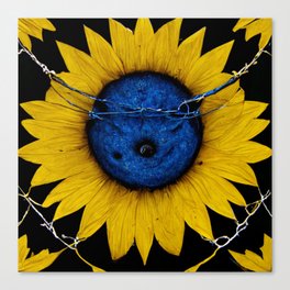 Sunflowers & Barbedwire Canvas Print