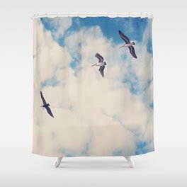 Flying Over Seas Shower Curtain