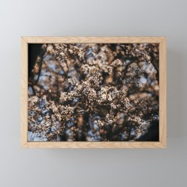 flowers to you | white flowers | golden hour | flowers portrait Framed Mini Art Print