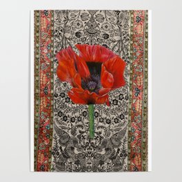 Persian Poppy Poster