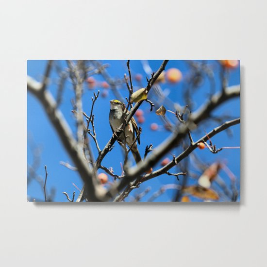 Crowned for fall Metal Print