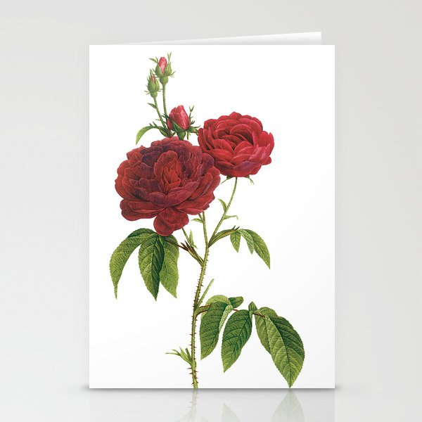 Vintage Red Rose [02] Stationery Cards
