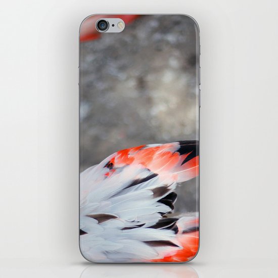 Plumage iPhone & iPod Skin
