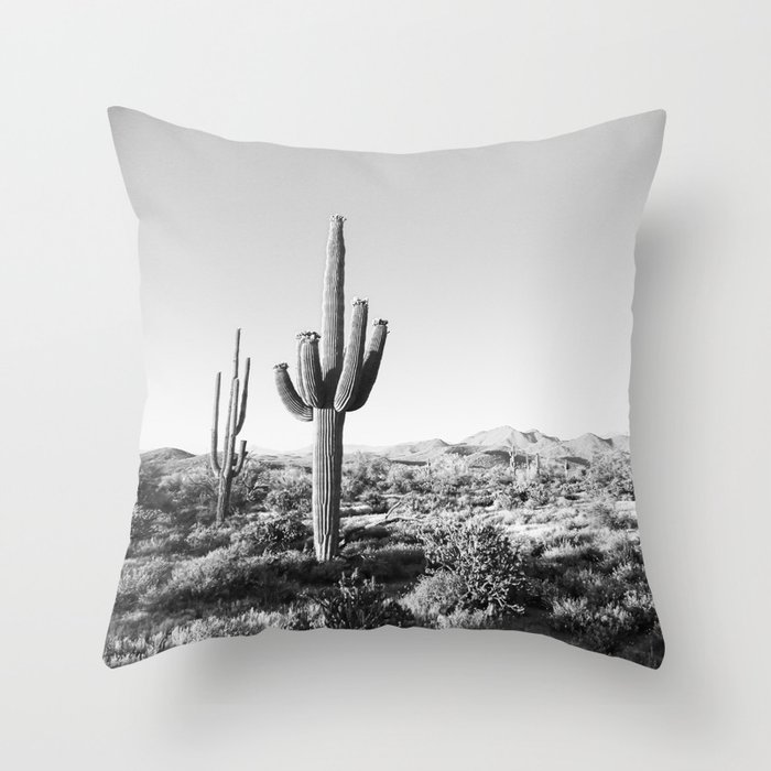 DESERT II / Phoenix, Arizona Throw Pillow