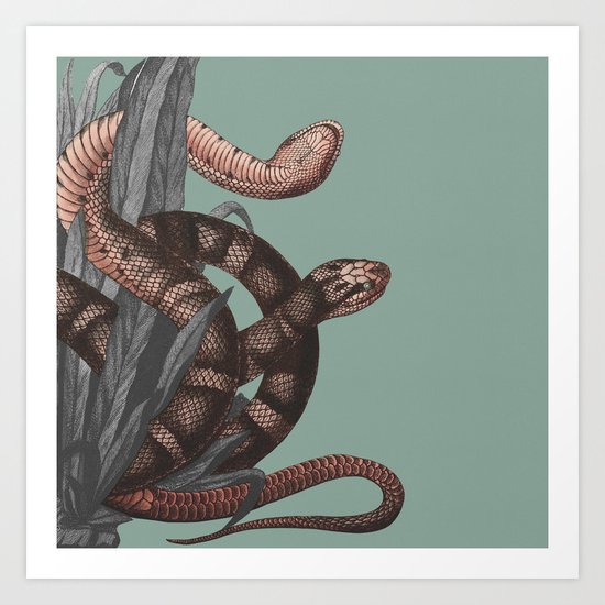 Snakes (animals collection) Art Print