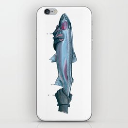 Salmon River Steelhead iPhone Skin