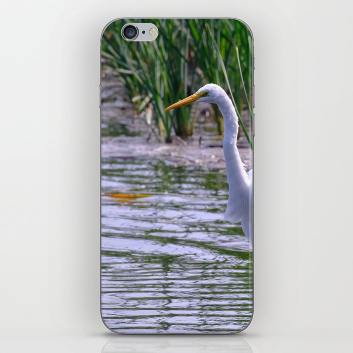 Great Egret (Ardea alba) iPhone Skin