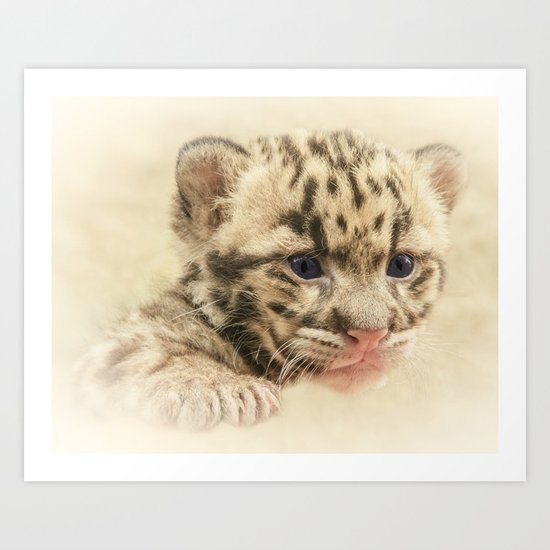 CUTE CLOUDED LEOPARD CUB Art Print