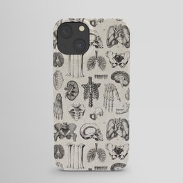 Human Anatomy iPhone Case