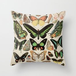 Papillon II Vintage French Butterfly Chart by Adolphe Millot Throw Pillow