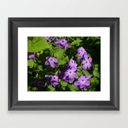 Purple Flowers Framed Art Print