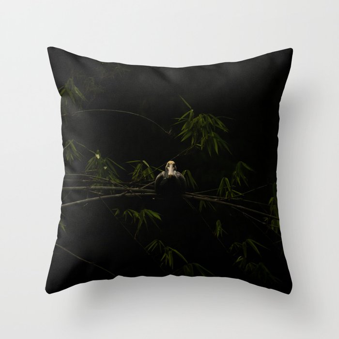 Gaze of a Bird in the Dark Throw Pillow