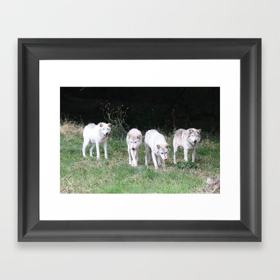 Wolf Pack Framed Art Print