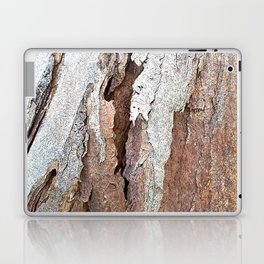 Eucalyptus Tree Bark and Wood Abstract Natural Texture 64 Laptop Skin