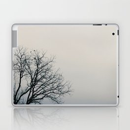 Haze Daze Laptop & iPad Skin