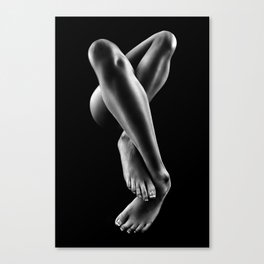 Nude woman bodyscape 57 Canvas Print