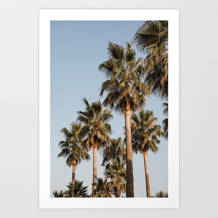 Palm trees France | Pastel | Golden hour | Fine Art Travel Photography Art Print